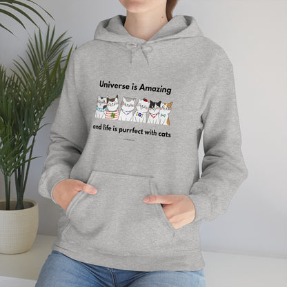 Unisex Hooded Sweatshirt - Universe is Amazing