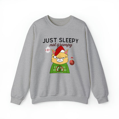 Christmas Crewneck Sweatshirt for Cat Lovers With Sleepy Not Grumpy Santa Cat