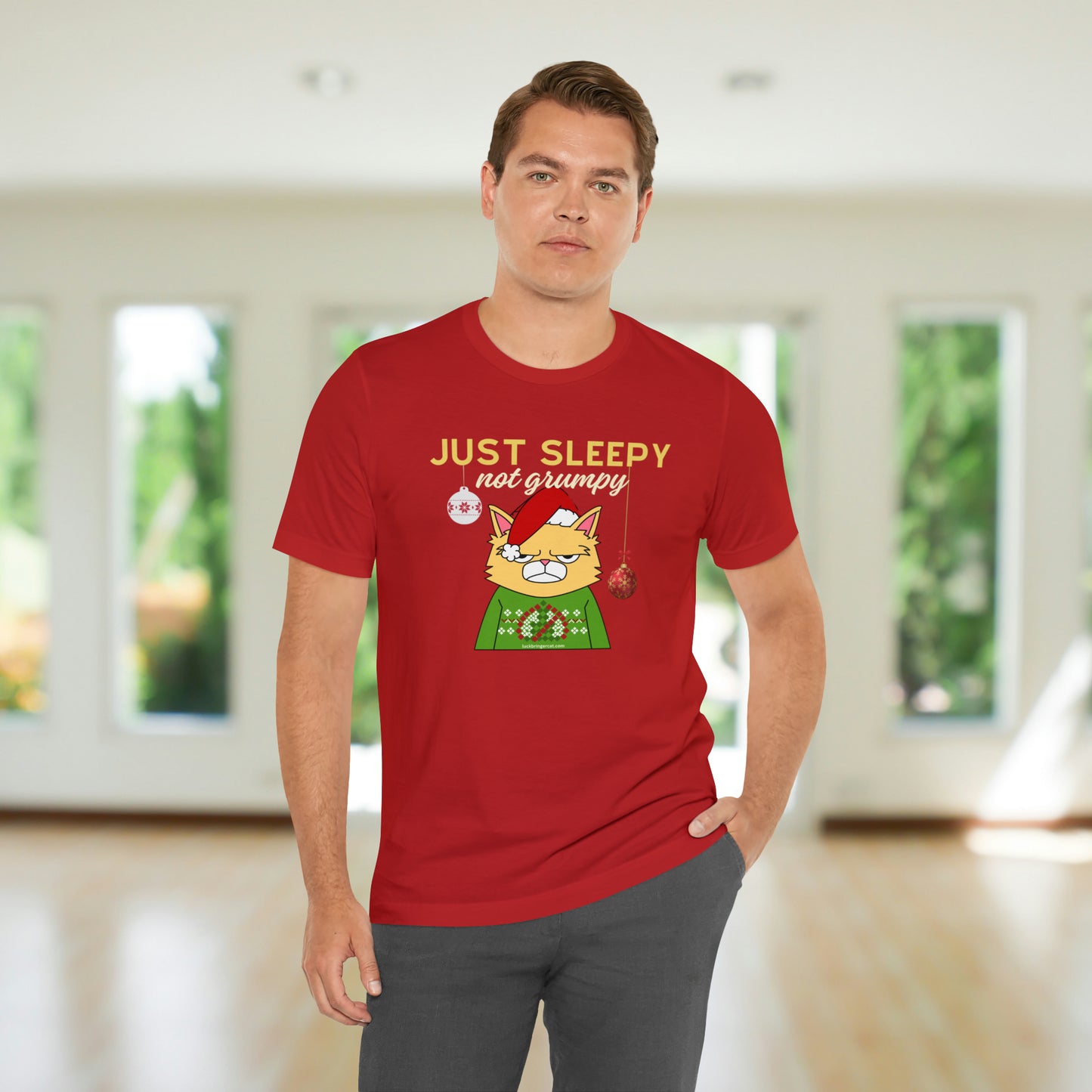 Christmas T-shirt for Cat Lovers With Sleepy Not Grumpy Santa Cat