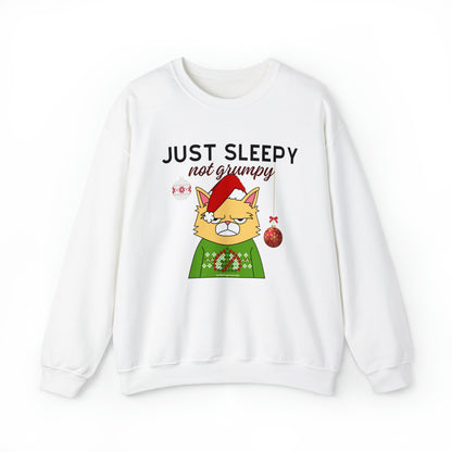 Christmas Crewneck Sweatshirt for Cat Lovers With Sleepy Not Grumpy Santa Cat