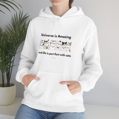 Unisex Hooded Sweatshirt - Universe is Amazing