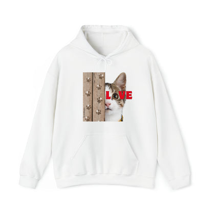 Cat Lover Hooded Sweatshirt