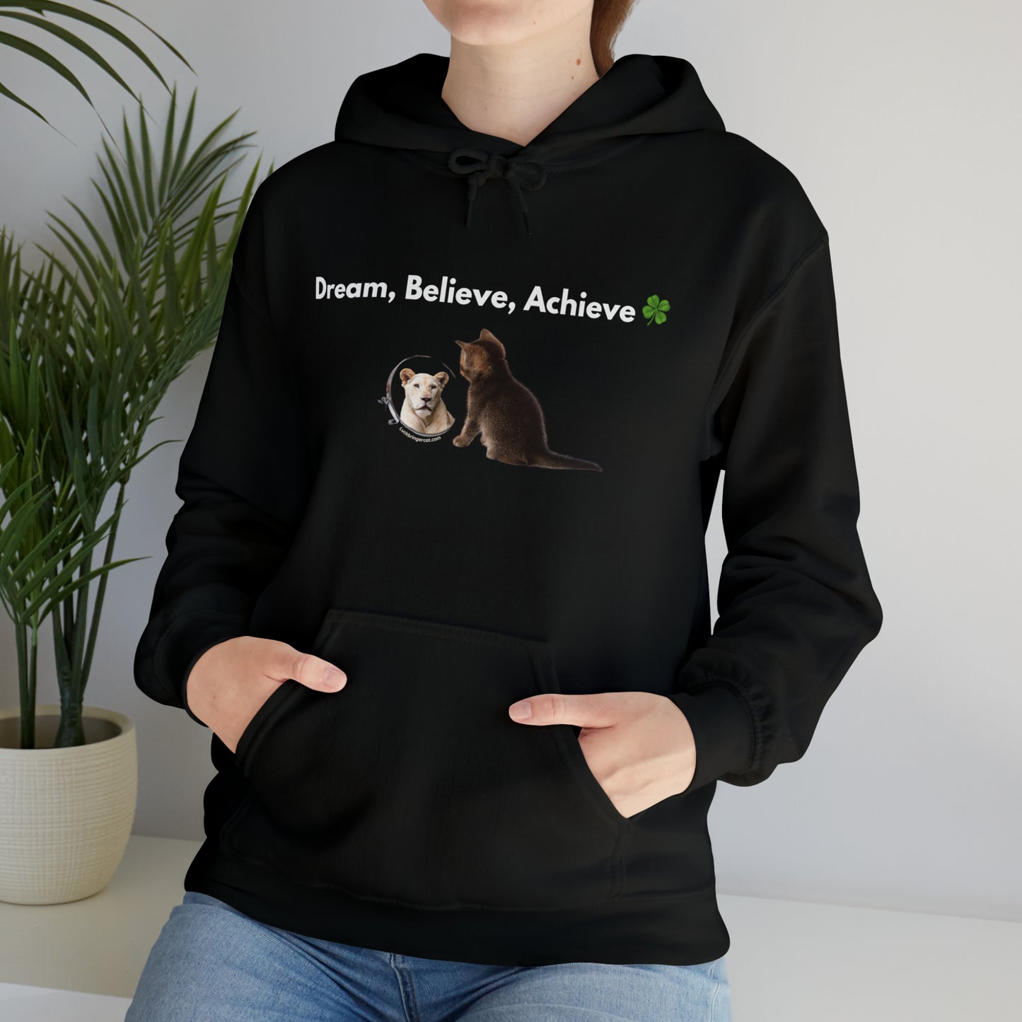 Inspirational Unisex Hooded Sweatshirt - Dream, Believe, Achieve