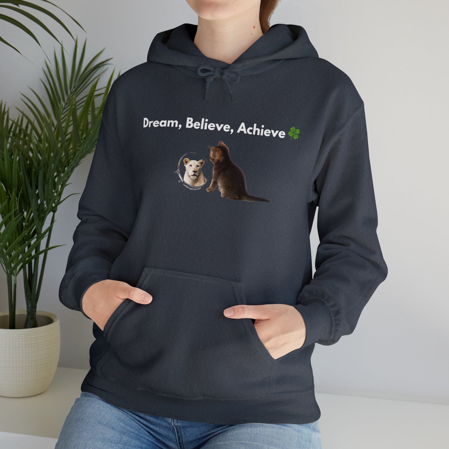 Inspirational Unisex Hooded Sweatshirt - Dream, Believe, Achieve