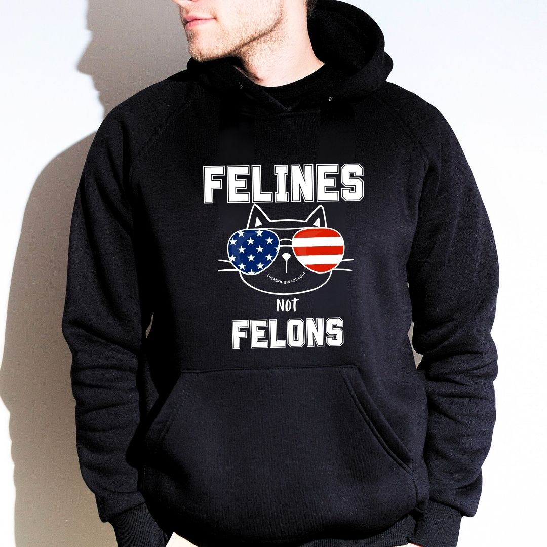 Felines Not Felons Hoodie-Kamala Harris 2024 US Presidential Election Hooded Sweater-Show off your love for cats and your favorite democratic presidential candidate with these adorable high-quality shirts! 😻💖💙🐾Cat Lovers Shirt USA Election