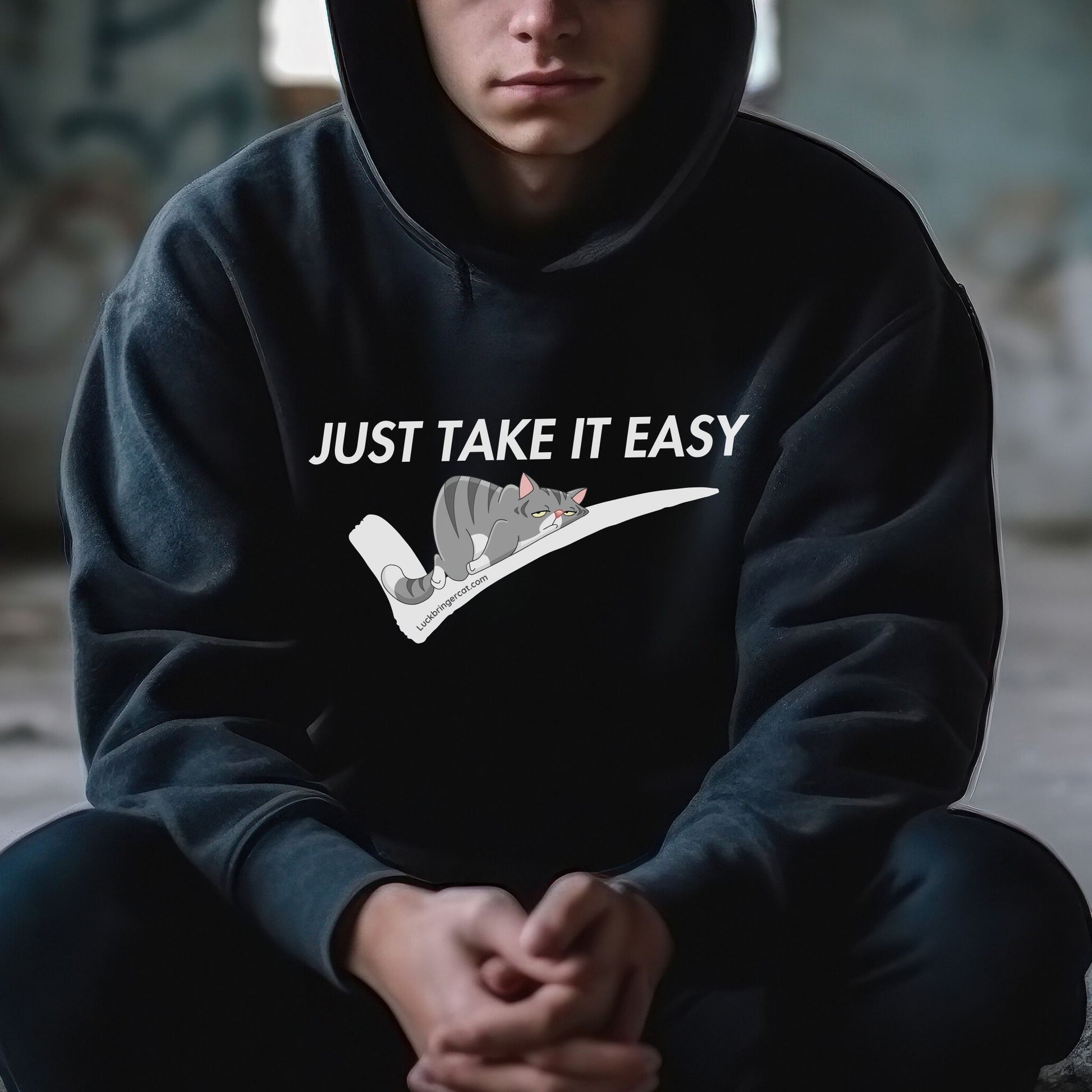 Funny Hoodie- In today's busy world, just taking it easy is as important as just doing it! 😉 Wear our funny 'Just Take It Easy' hoodie as a reminder to unwind and recharge when needed. 💪🏻😊👕🌟 These shirts also make perfect gifts for cat lovers, cat moms, cat dads and cat enthusiasts. 🐈🎁